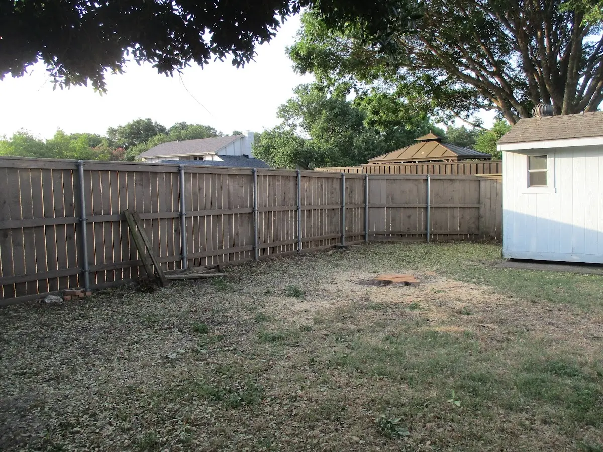 Cleared yard after professional tree removal in Big Wells